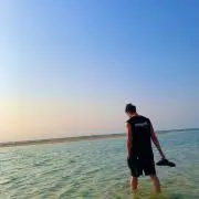 うさぎの画像