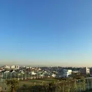 トトロの画像