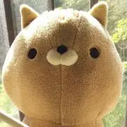 ネコタの画像