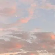 mの画像
