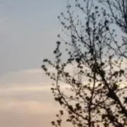 みち