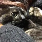 xxDaleeの画像