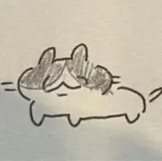 ぽんちゃんの画像