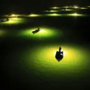カイル　(プロフ必読お願いします)の画像