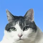 アンリの画像
