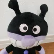 あんちゃん❗断捨離中の画像