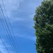 とびすけ