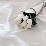Rの画像