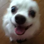 suu