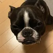 つっちの画像