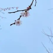 あっか