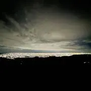 pinoの画像