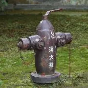 家庭菜園 ⭐︎