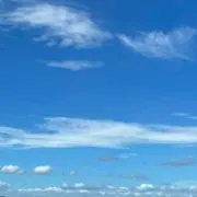Rの画像