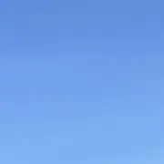 まいたけの画像
