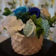 dreamyyの画像