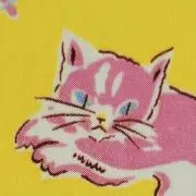 めいさの画像