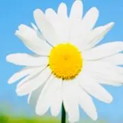 kmの画像