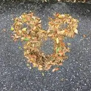 リリィの画像