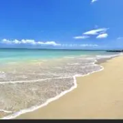 たかしの画像