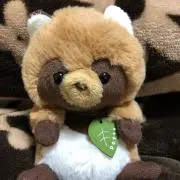 ぽん太の画像