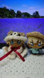pacca1968