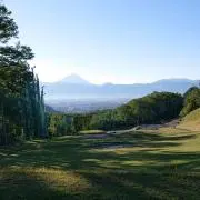 ノリノリだーの画像