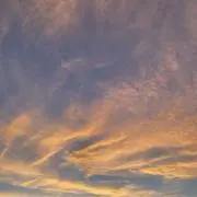 まらたんの画像