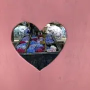 リリーの画像