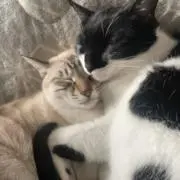 kの画像