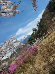 ハチル