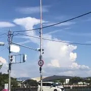 ヴィッキー（値段交渉　歓迎）の画像