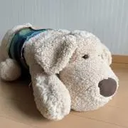 けろりの画像