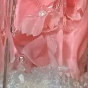 Sav×2の画像