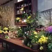 Greenmarketの画像