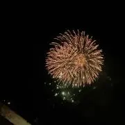 まの画像