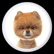 ☆プロフ100%確認即購入可☆SOU☆の画像
