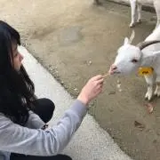のんちゃんの画像