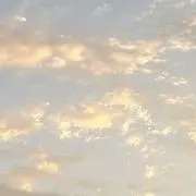 向の画像