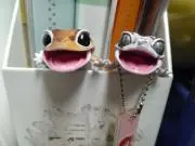 みかん