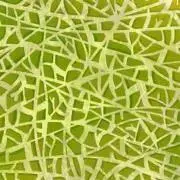 めろんの画像