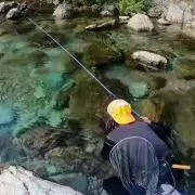 かわむしの水遊びの画像