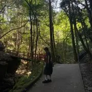 ただの大学生の画像