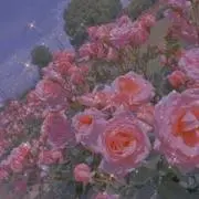 にこ☻ショップの画像