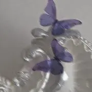 anの画像