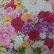 ミルキーの画像