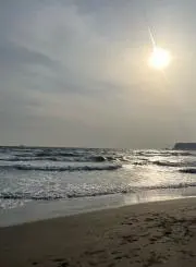 Oriの画像