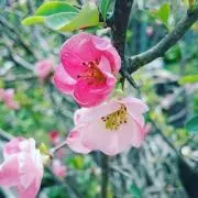 ほづみ✨の画像