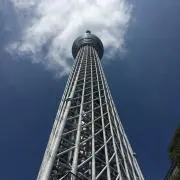 くま