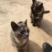 (・∀・)
